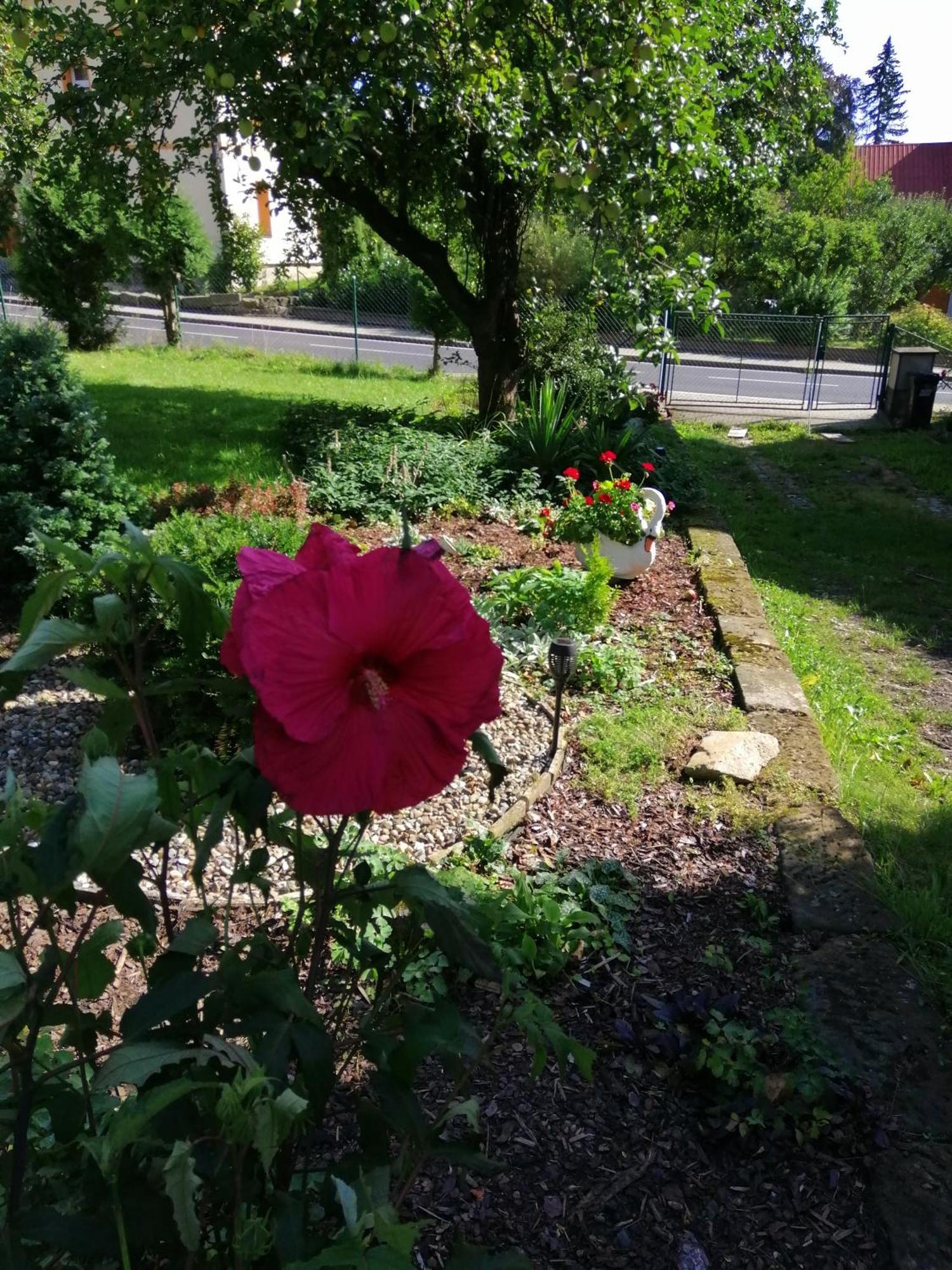 Penzion Jura Chribska Luaran gambar